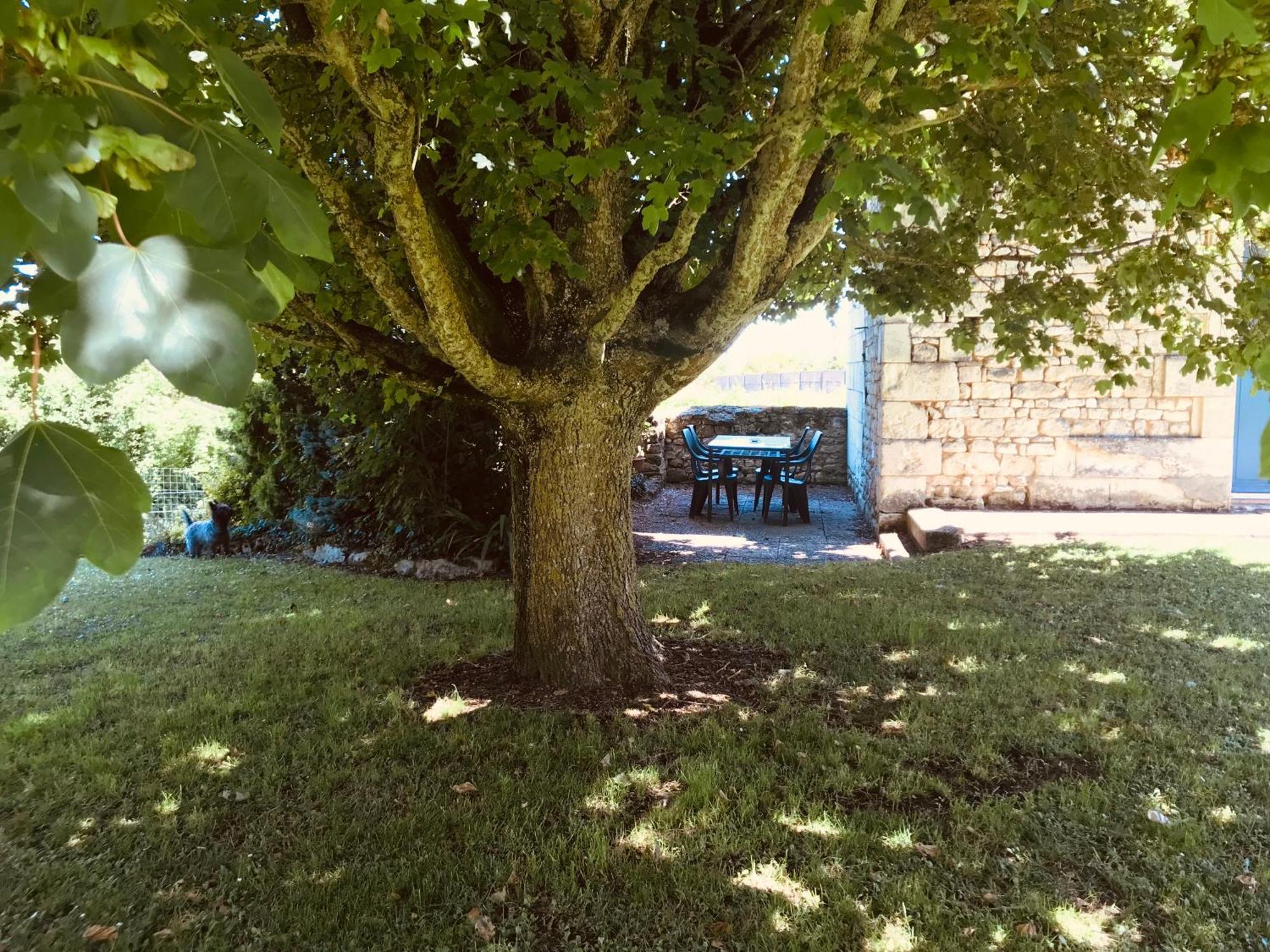 Gite Au Boom Coeur En Options Spa Et Repas Tourtenay المظهر الخارجي الصورة